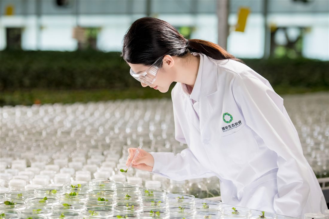 MS88����(�й�)���޹�˾����