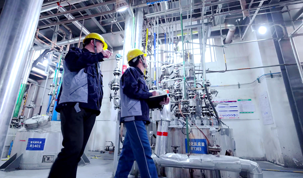 MS88����(�й�)���޹�˾����