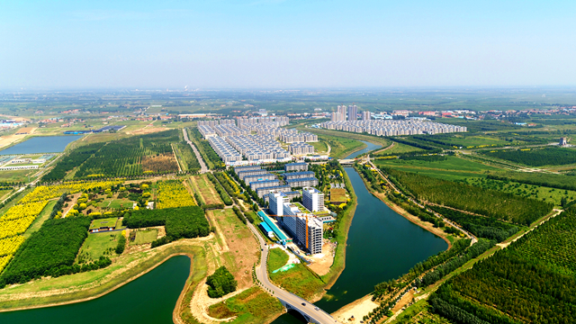 MS88����(�й�)���޹�˾����