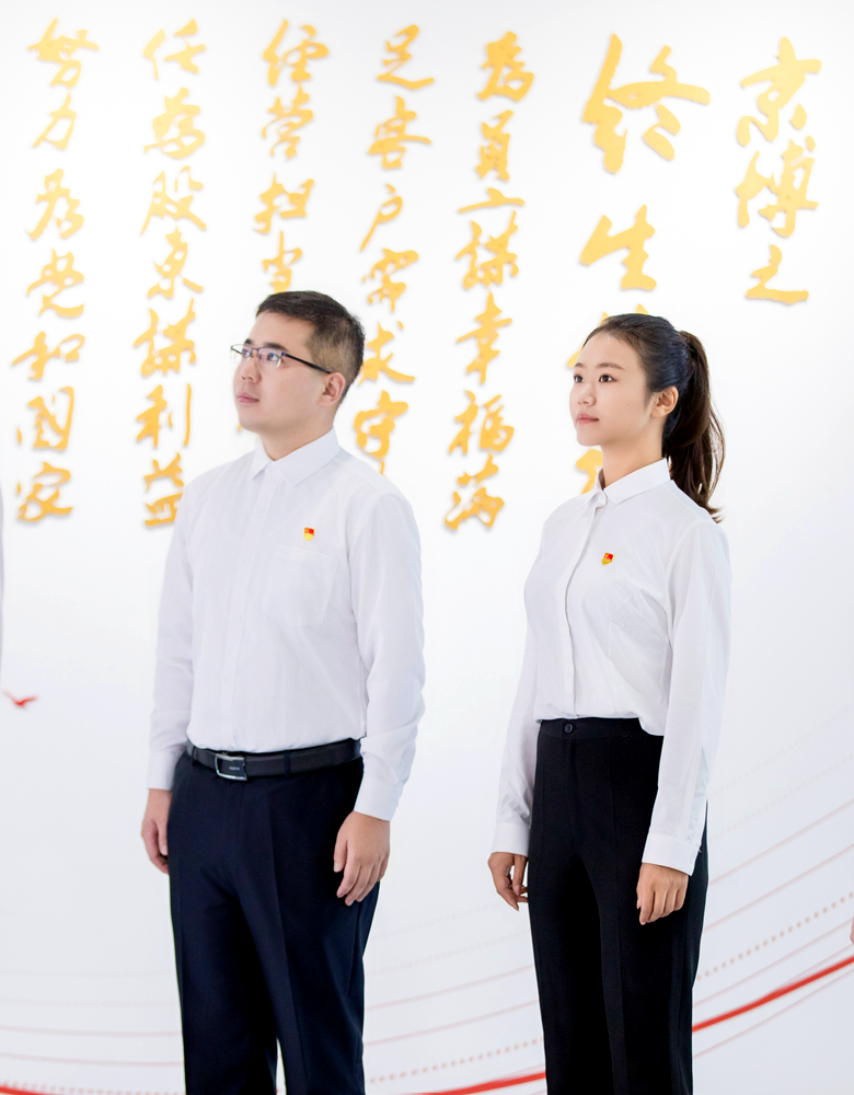 MS88����(�й�)���޹�˾����