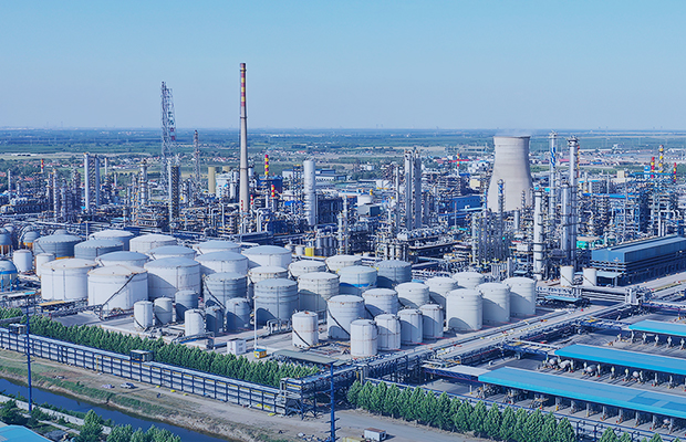 MS88����(�й�)���޹�˾����