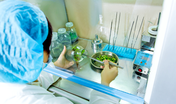 MS88����(�й�)���޹�˾����