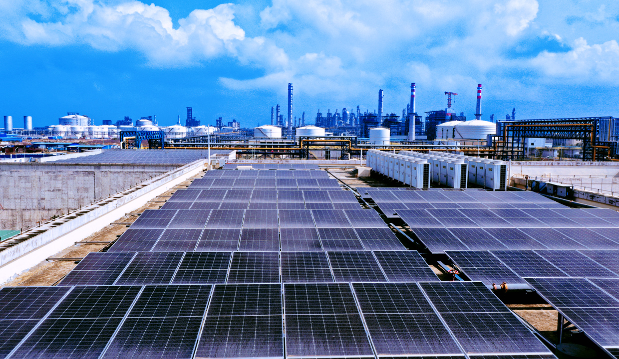 MS88����(�й�)���޹�˾����