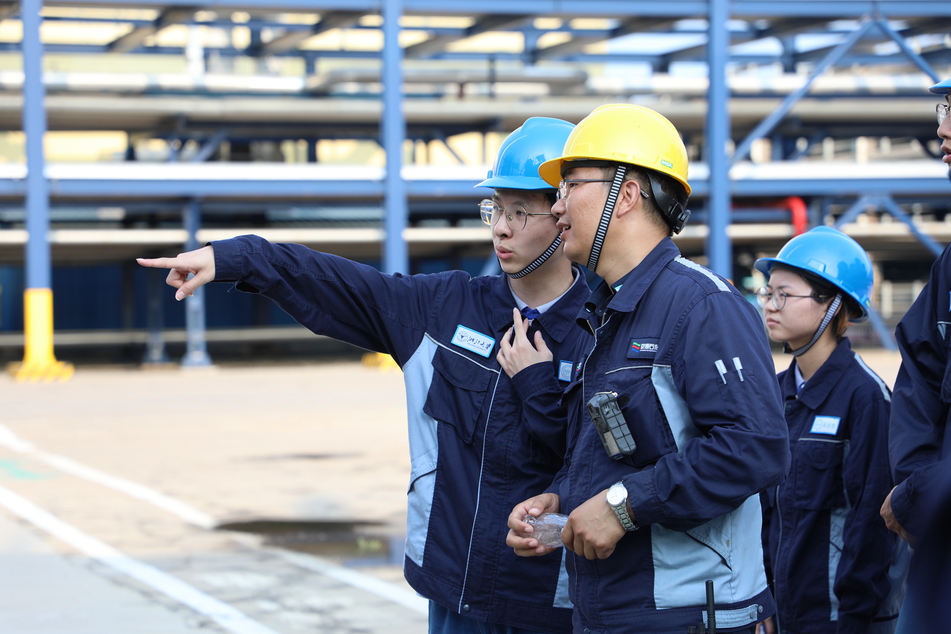 MS88����(�й�)���޹�˾����