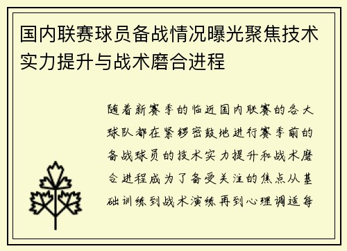 国内联赛球员备战情况曝光聚焦技术实力提升与战术磨合进程